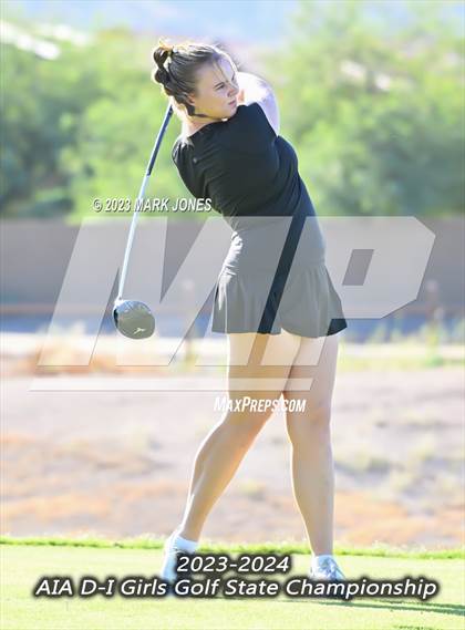 Thumbnail 3 in AIA DI Girls State Championships  photogallery.