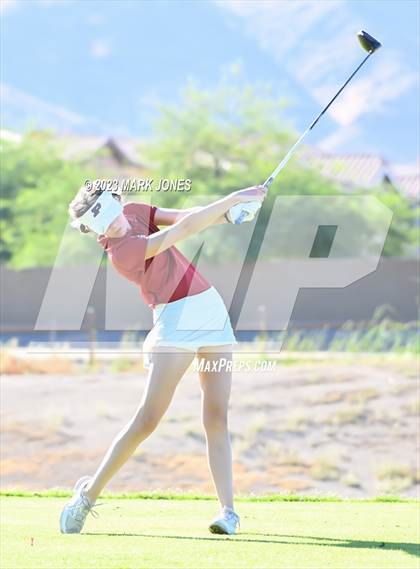Thumbnail 1 in AIA DI Girls State Championships  photogallery.