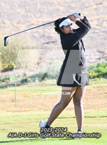 Thumbnail 1 in AIA DI Girls State Championships  photogallery.