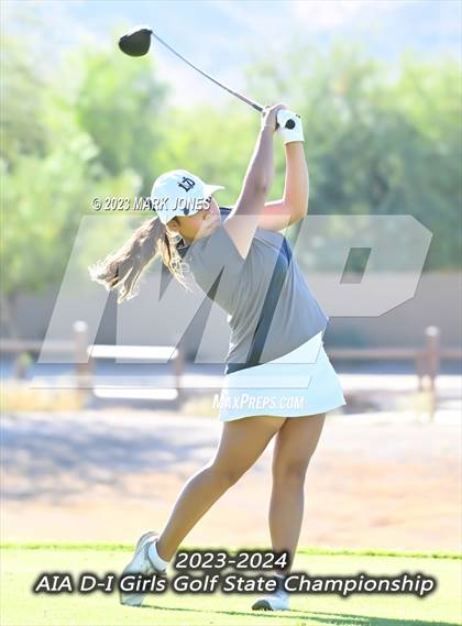Thumbnail 2 in AIA DI Girls State Championships  photogallery.