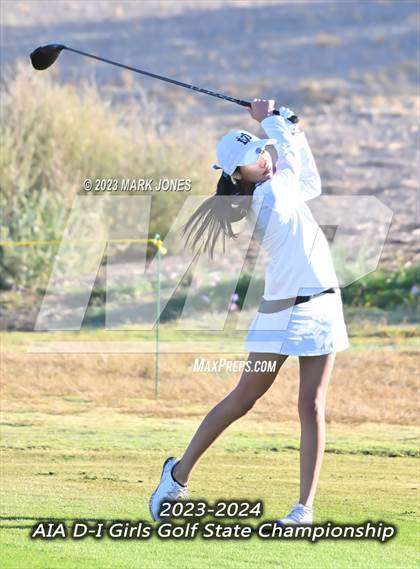 Thumbnail 3 in AIA DI Girls State Championships  photogallery.