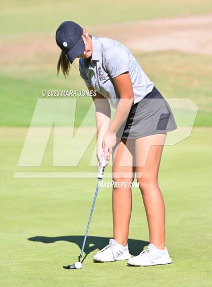 Thumbnail 1 in AIA DI Girls State Championships  photogallery.