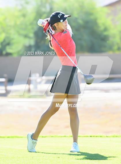 Thumbnail 1 in AIA DI Girls State Championships  photogallery.