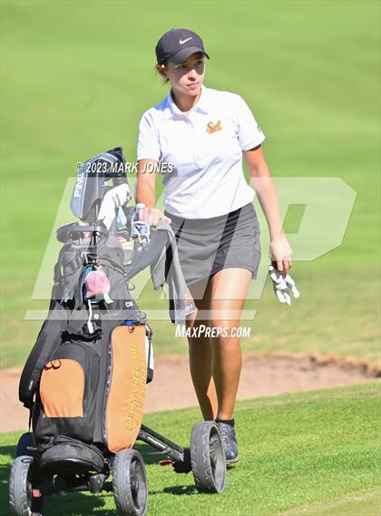 Thumbnail 3 in AIA DI Girls State Championships  photogallery.