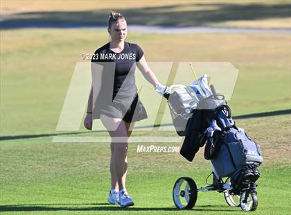Thumbnail 2 in AIA DI Girls State Championships  photogallery.