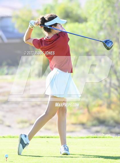 Thumbnail 1 in AIA DI Girls State Championships  photogallery.