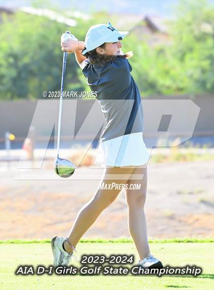 Thumbnail 2 in AIA DI Girls State Championships  photogallery.