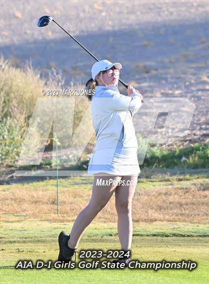 Thumbnail 3 in AIA DI Girls State Championships  photogallery.