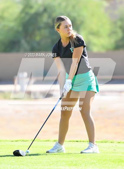 Thumbnail 3 in AIA DI Girls State Championships  photogallery.