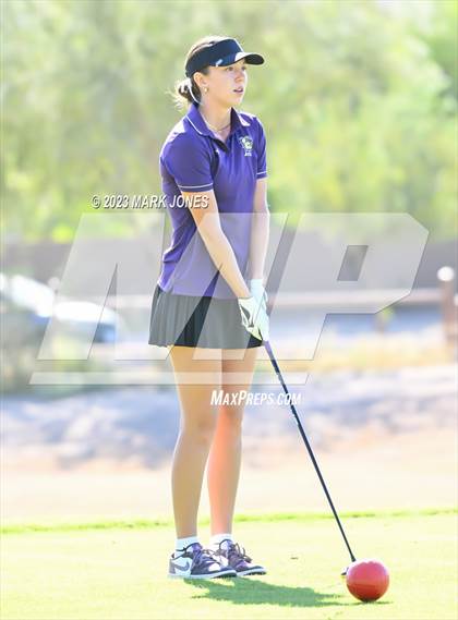 Thumbnail 3 in AIA DI Girls State Championships  photogallery.