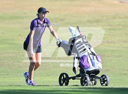 Thumbnail 3 in AIA DI Girls State Championships  photogallery.