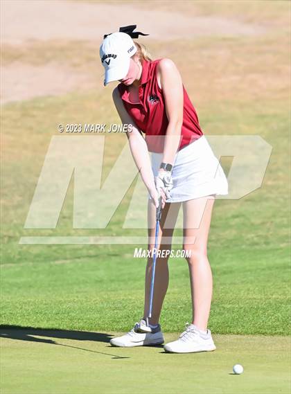 Thumbnail 1 in AIA DI Girls State Championships  photogallery.