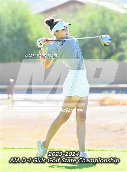 Thumbnail 1 in AIA DI Girls State Championships  photogallery.