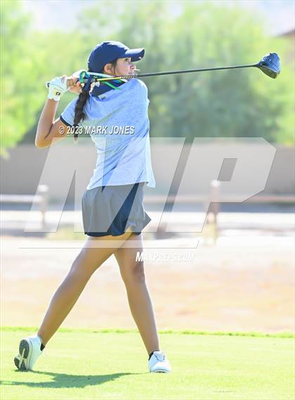 Thumbnail 1 in AIA DI Girls State Championships  photogallery.