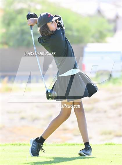Thumbnail 2 in AIA DI Girls State Championships  photogallery.