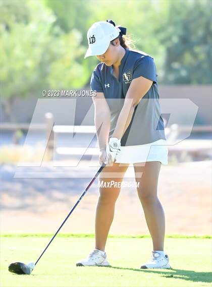 Thumbnail 1 in AIA DI Girls State Championships  photogallery.