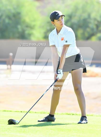 Thumbnail 2 in AIA DI Girls State Championships  photogallery.