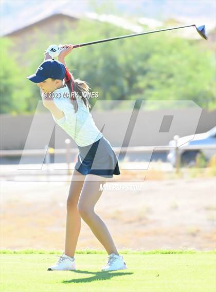 Thumbnail 3 in AIA DI Girls State Championships  photogallery.