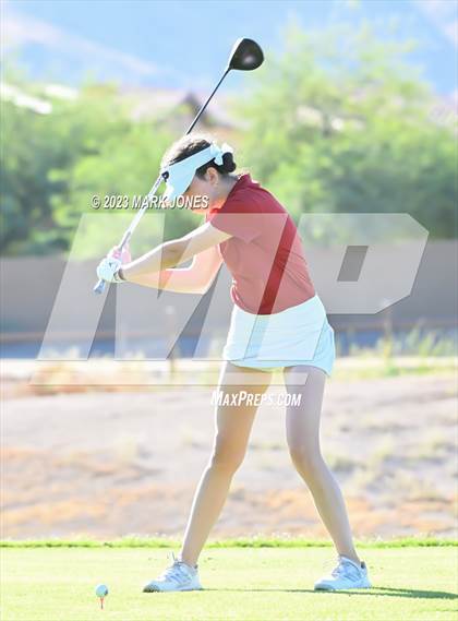 Thumbnail 2 in AIA DI Girls State Championships  photogallery.