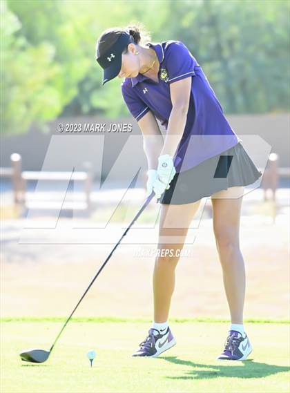 Thumbnail 3 in AIA DI Girls State Championships  photogallery.