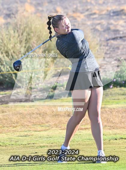 Thumbnail 1 in AIA DI Girls State Championships  photogallery.