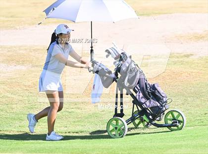 Thumbnail 3 in AIA DI Girls State Championships  photogallery.