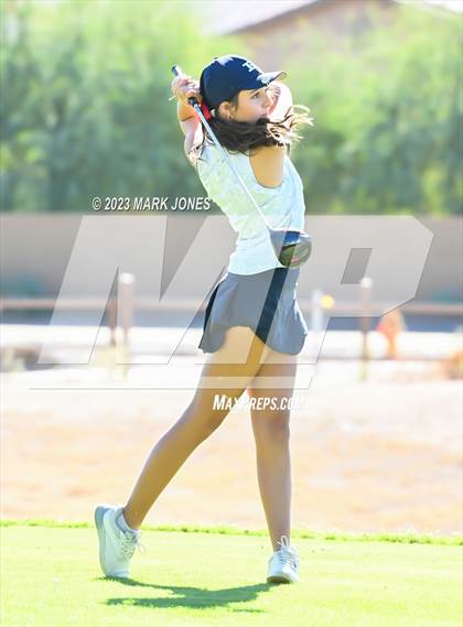 Thumbnail 2 in AIA DI Girls State Championships  photogallery.