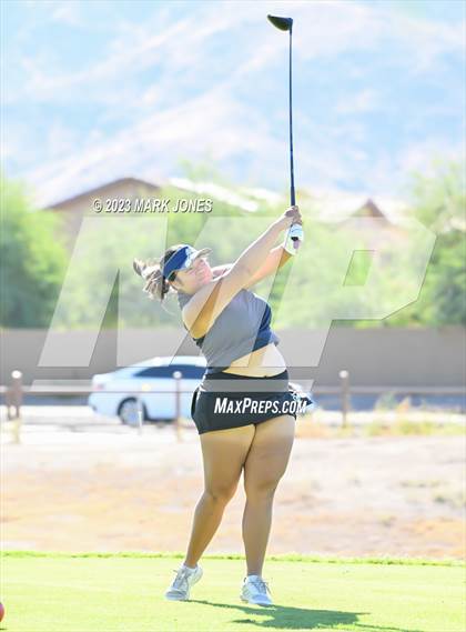 Thumbnail 1 in AIA DI Girls State Championships  photogallery.