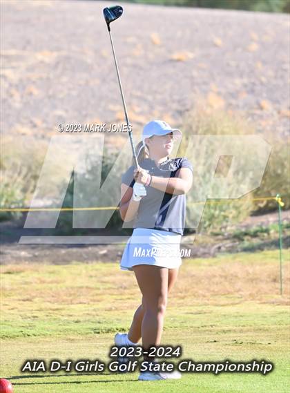 Thumbnail 2 in AIA DI Girls State Championships  photogallery.