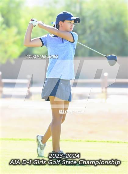 Thumbnail 1 in AIA DI Girls State Championships  photogallery.