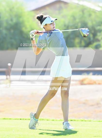 Thumbnail 3 in AIA DI Girls State Championships  photogallery.