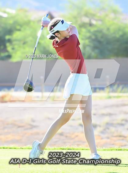 Thumbnail 1 in AIA DI Girls State Championships  photogallery.
