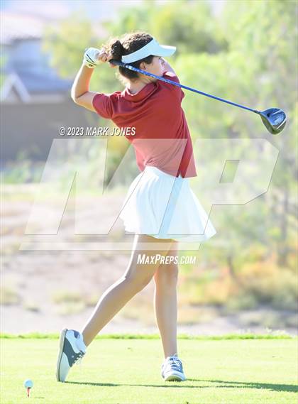Thumbnail 3 in AIA DI Girls State Championships  photogallery.