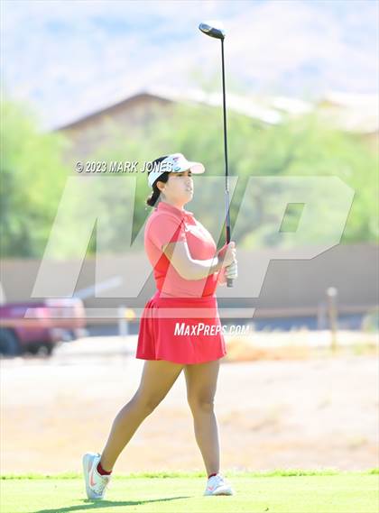 Thumbnail 1 in AIA DI Girls State Championships  photogallery.