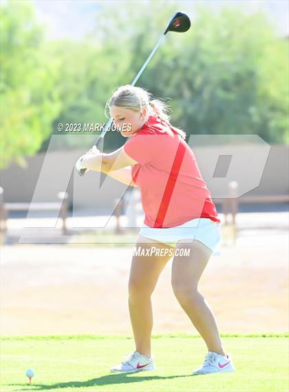 Thumbnail 1 in AIA DI Girls State Championships  photogallery.