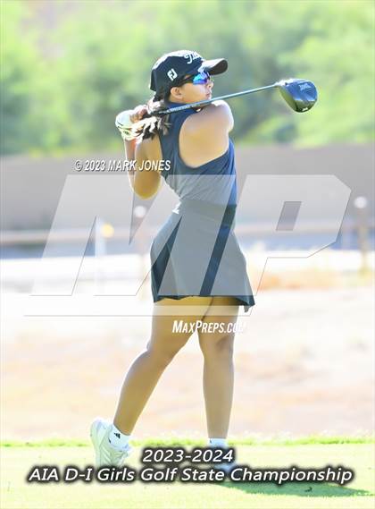 Thumbnail 3 in AIA DI Girls State Championships  photogallery.