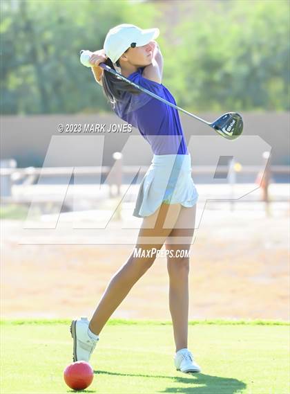 Thumbnail 2 in AIA DI Girls State Championships  photogallery.