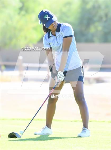 Thumbnail 2 in AIA DI Girls State Championships  photogallery.