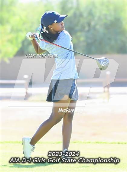 Thumbnail 3 in AIA DI Girls State Championships  photogallery.