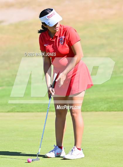 Thumbnail 2 in AIA DI Girls State Championships  photogallery.