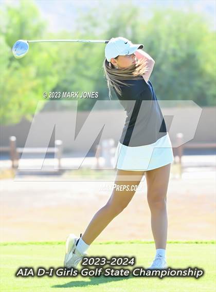 Thumbnail 3 in AIA DI Girls State Championships  photogallery.