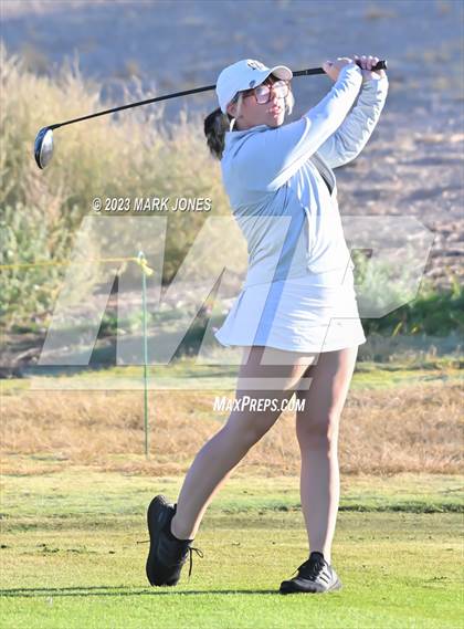 Thumbnail 1 in AIA DI Girls State Championships  photogallery.