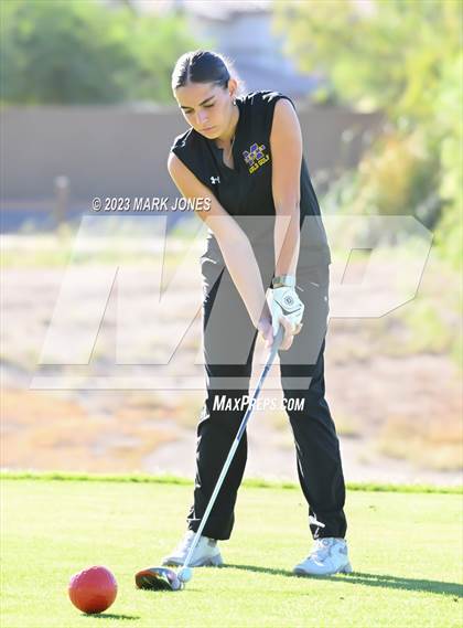 Thumbnail 1 in AIA DI Girls State Championships  photogallery.