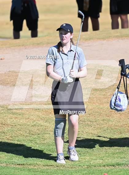 Thumbnail 1 in AIA DI Girls State Championships  photogallery.