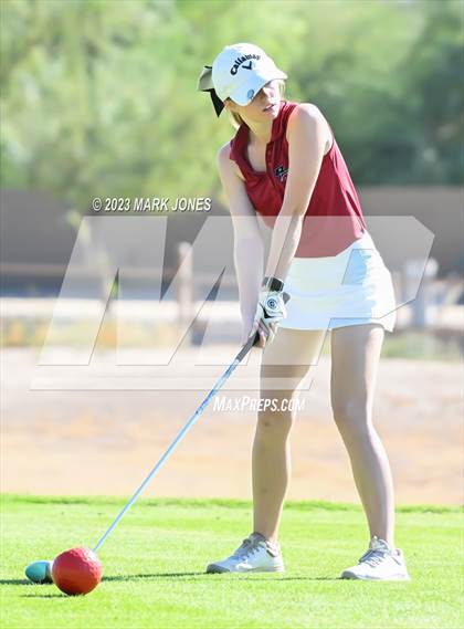 Thumbnail 1 in AIA DI Girls State Championships  photogallery.