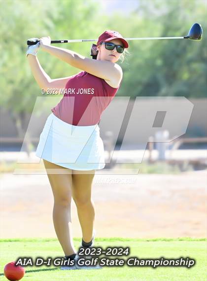 Thumbnail 3 in AIA DI Girls State Championships  photogallery.