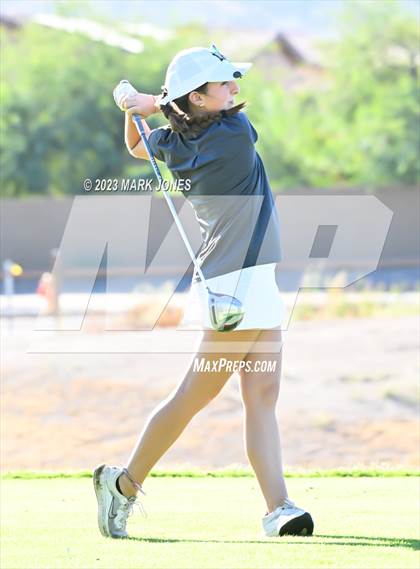Thumbnail 3 in AIA DI Girls State Championships  photogallery.