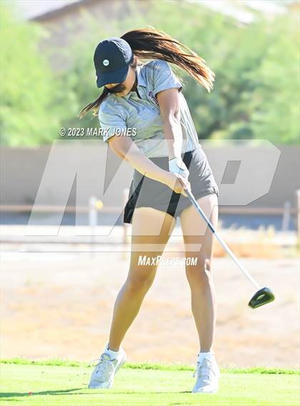 Thumbnail 1 in AIA DI Girls State Championships  photogallery.