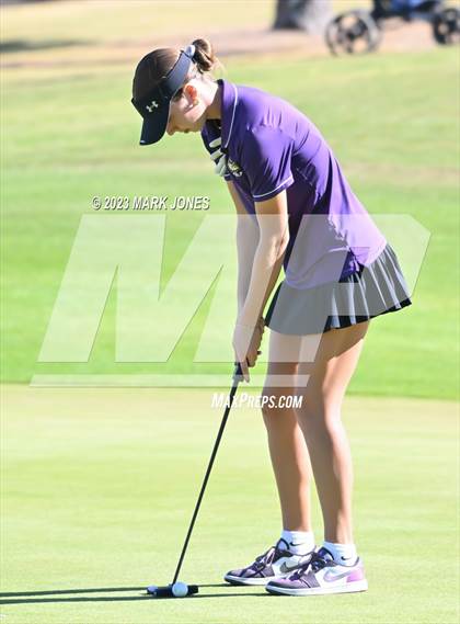 Thumbnail 3 in AIA DI Girls State Championships  photogallery.