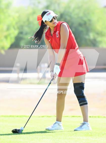 Thumbnail 2 in AIA DI Girls State Championships  photogallery.